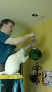 Kitten helps hang a new fixture over the sink.