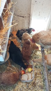 Delicious party leftovers! Everybody gets to celebrate!